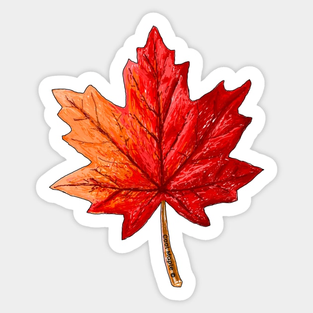 Cool Maple © Sticker by Cool Collections